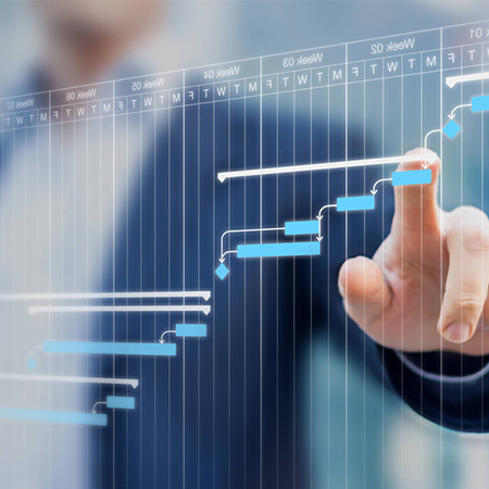 Program Management